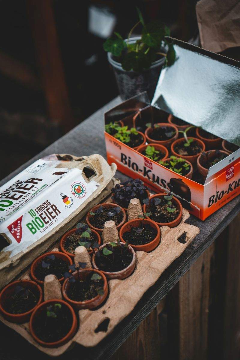 Créer un jardin facile à entretenir sans perdre en élégance